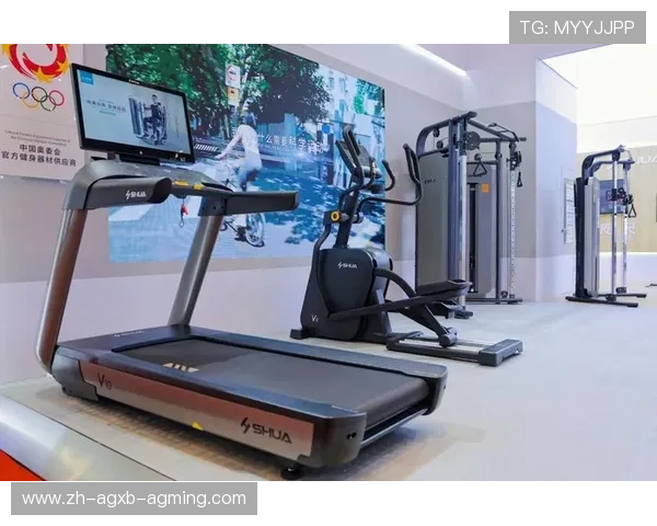 广州健身器材厂家联系方式汇总，体育行业供应参考