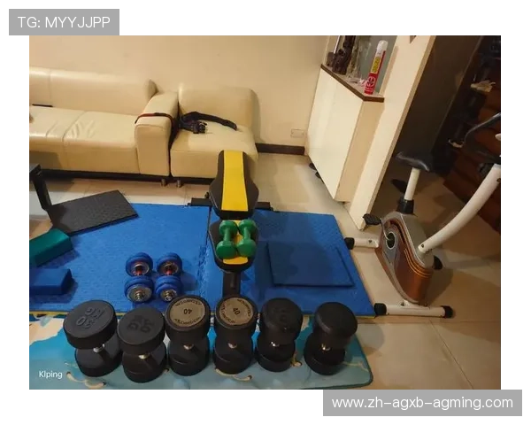 自制蝴蝶健身器材教程：家庭健身新选择