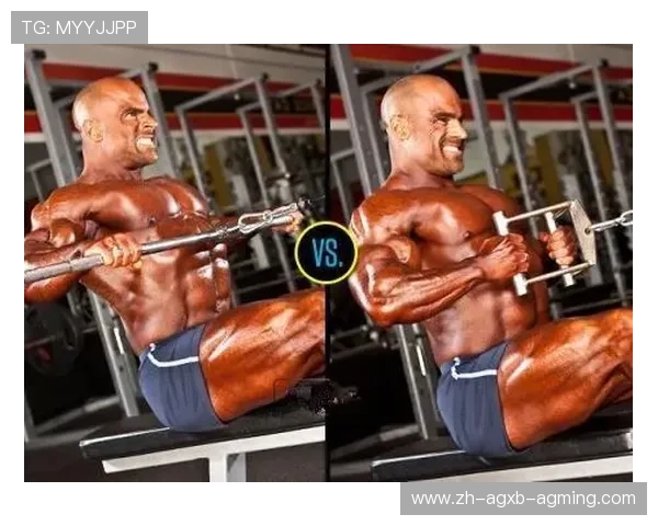 肩部训练专用健身器材介绍及分阶段训练计划 肩部训练专用健身器材介绍及分阶段训练计划