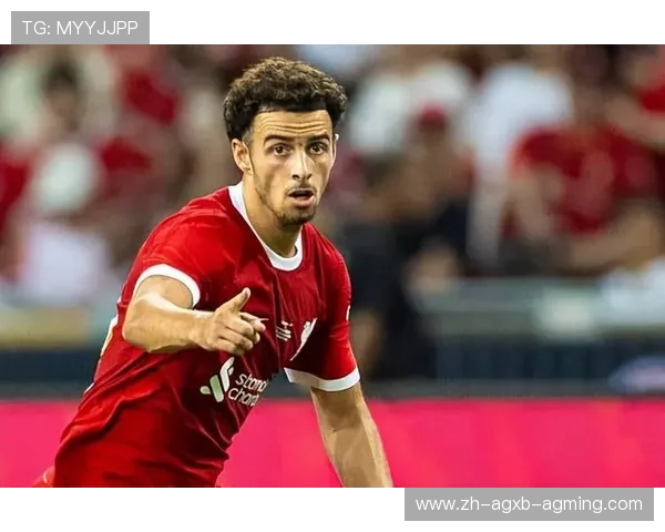 柯蒂斯杯美国队阵容初现端倪实力新秀奥基夫与塔利纷纷入围